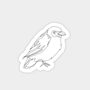 Cape Weaver Bird Line Drawing Sticker